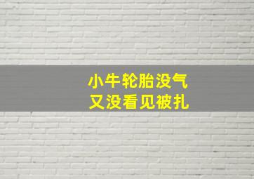 小牛轮胎没气 又没看见被扎